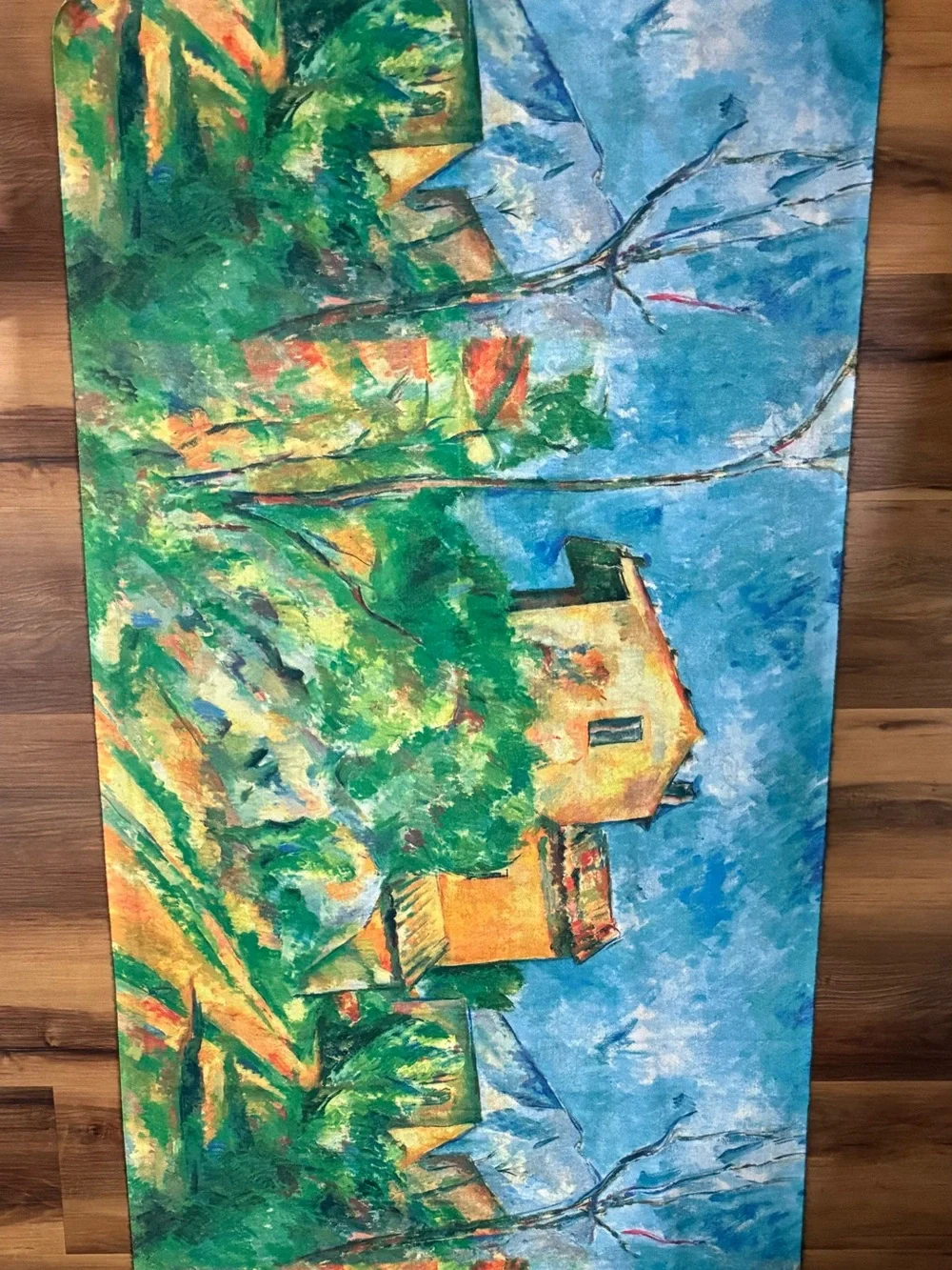 Art print double sided scarf Cézanne’s & Van Gogh tassel fringe Colorful NWOT